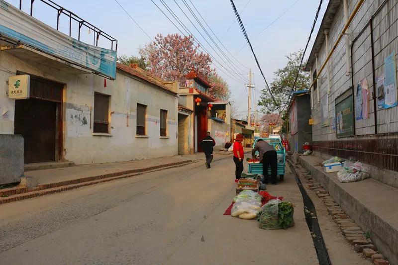 濮阳出国工作动态更新，自然之旅与内心平静的探寻