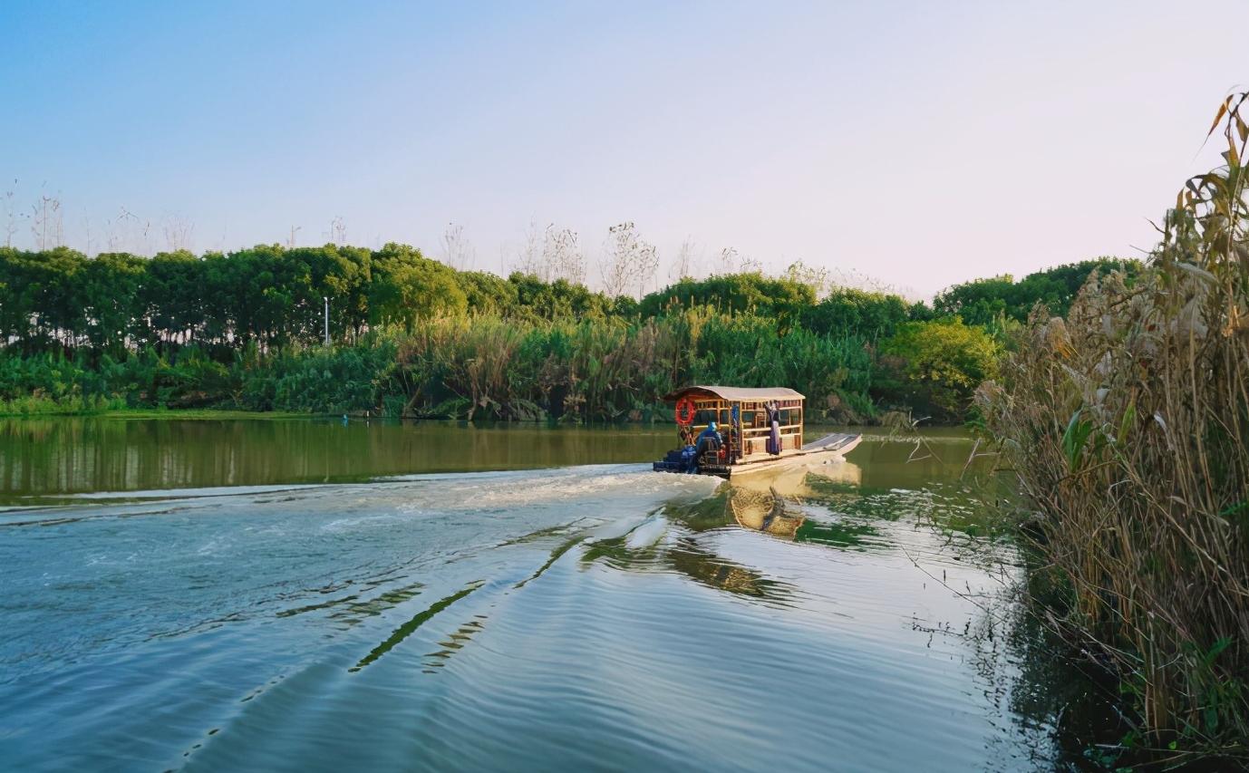 手机投屏到电视指南，探索内心平静之旅与美景分享投屏之旅