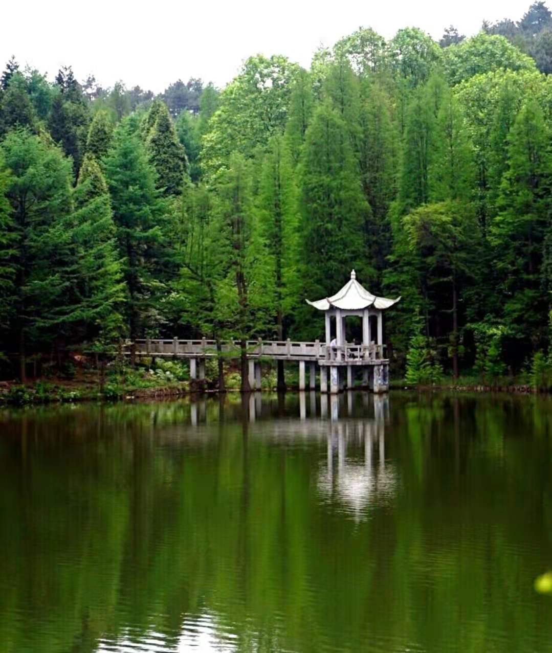 神马看电影，一场温馨有趣的电影之旅体验