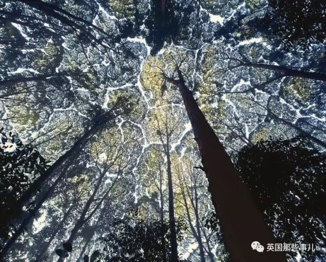 职务犯罪辩解 第12页