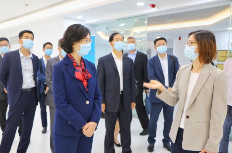 江门上市公司的现状、挑战与机遇，交织中的发展之路