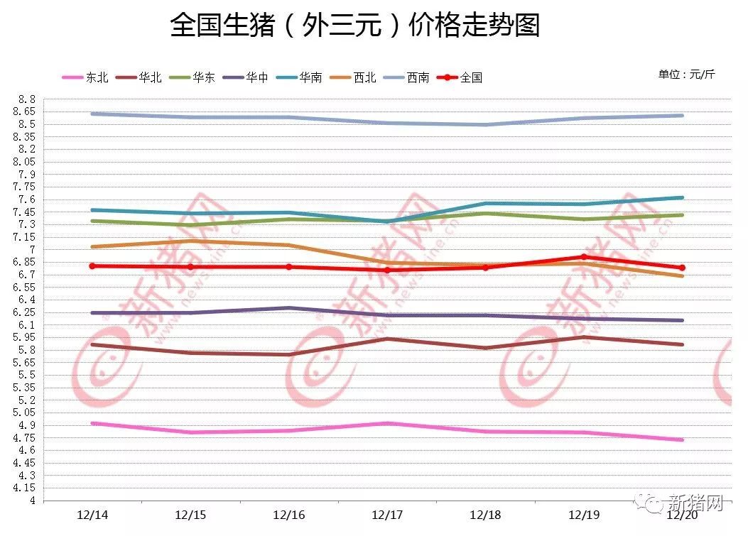 猪肉价格今日播报，市场动态一目了然，新鲜出炉的价格信息！