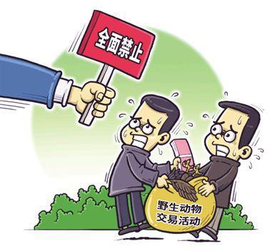刑事辩解 第6页