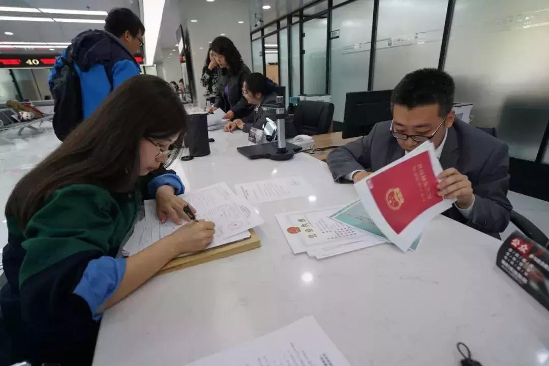 菏泽牡丹区，城市发展与环境保护并行之路的最新动态