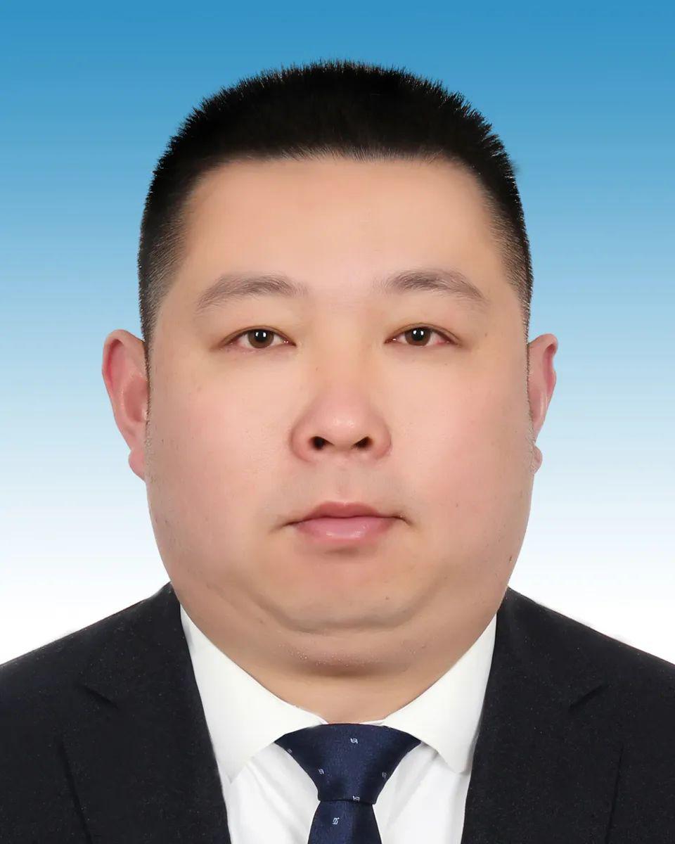 定海区干部任免新动态，推动区域发展新篇章开启