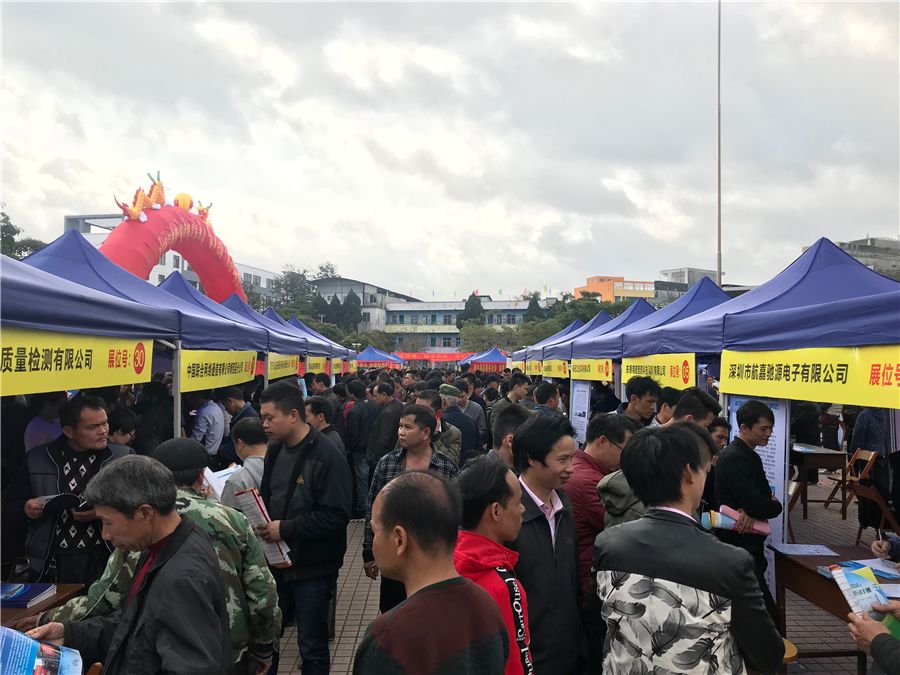 靖西最新招聘信息与就业市场分析，洞悉招聘动态，把握就业机会