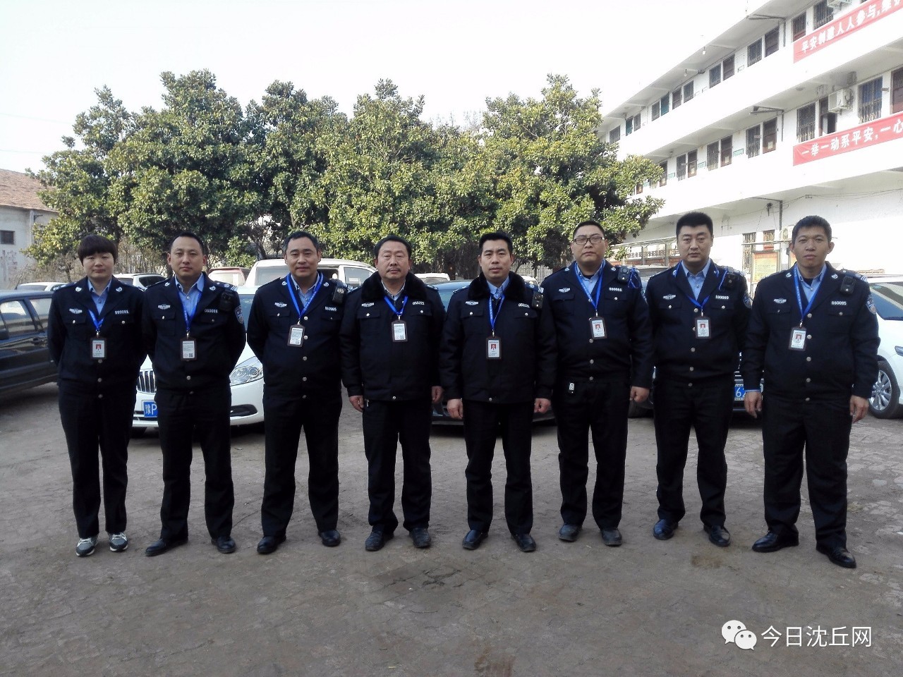 沈丘新闻最新动态全面报道