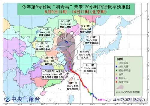 青岛台风最新消息，全方位应对保障城市安全