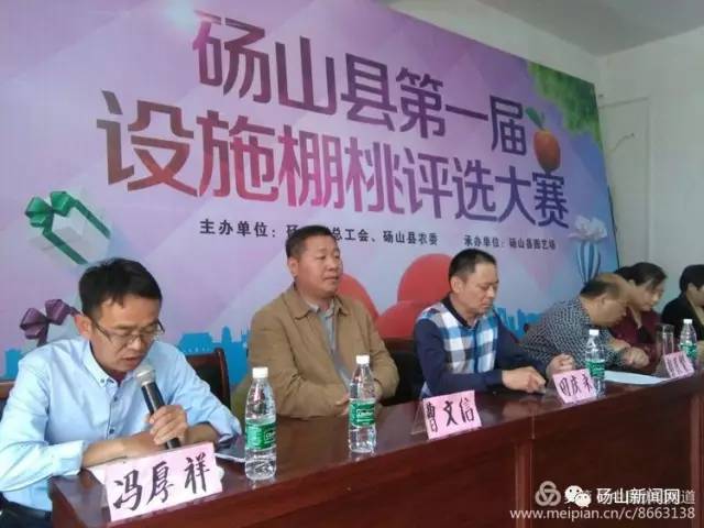 砀山新闻最新消息，综合报道及新闻报道汇总