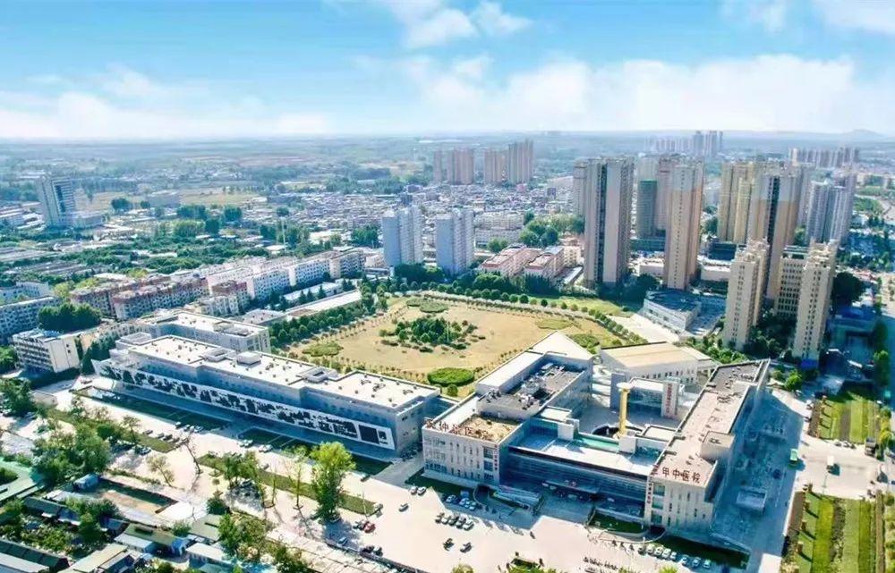 南阳市最新招聘信息概览与解读