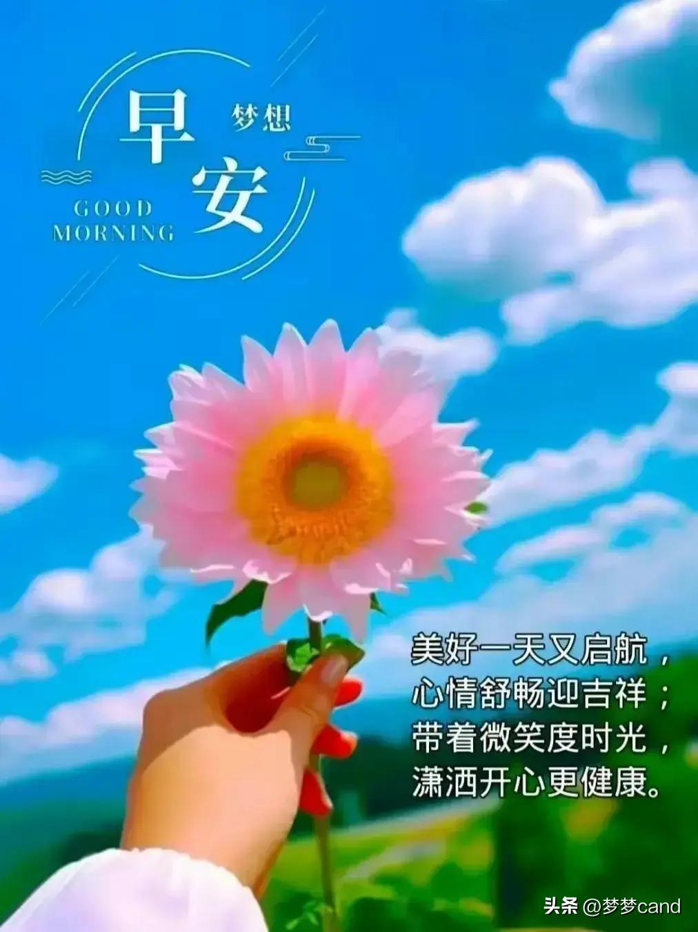 刑事辩解 第877页
