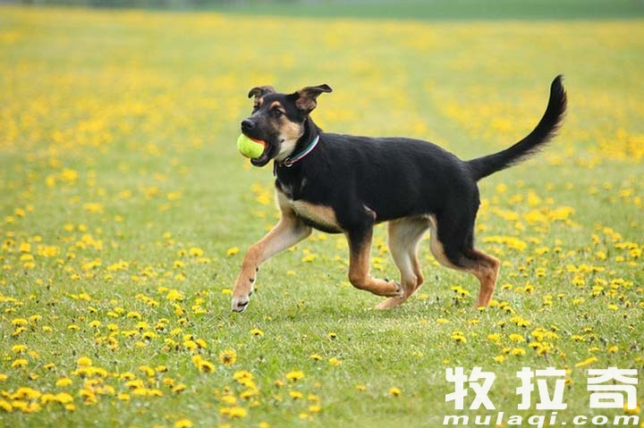 刑事辩解 第891页