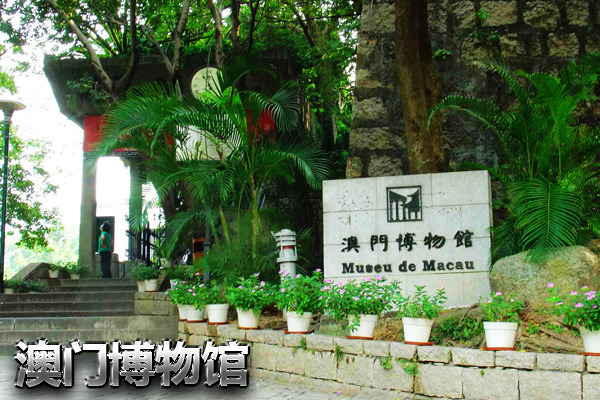 新澳澳门免费资料网址是什么，实地策略计划验证_动态版15.8.35