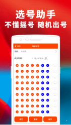 2024澳门天天开好彩大全开奖记录四不像，调整细节执行方案_标配版69.95.2