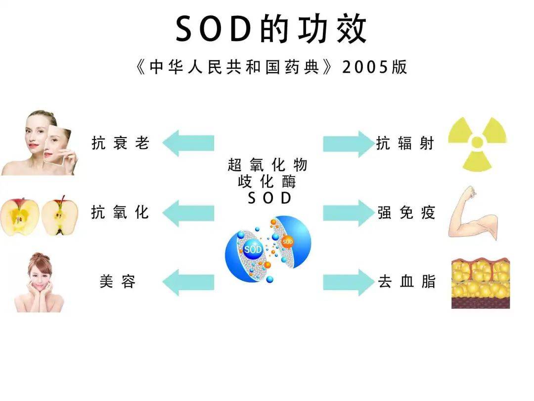 职务犯罪辩解 第851页