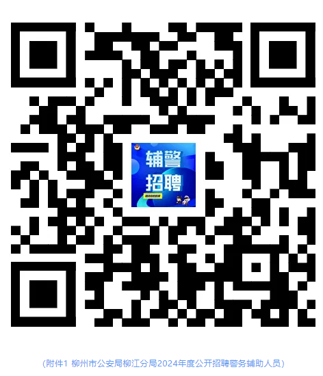 柳州招聘网最新招聘动态深度解析及职位速递