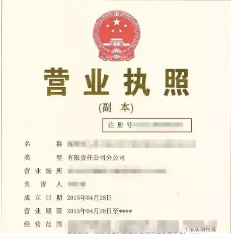 最新营业执照的重要性及其影响分析，以某某观点透视营业执照的最新动态