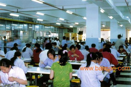 昆明长丰学校食堂承包商食品安全事件深度剖析，巨额罚款背后的警示与反思