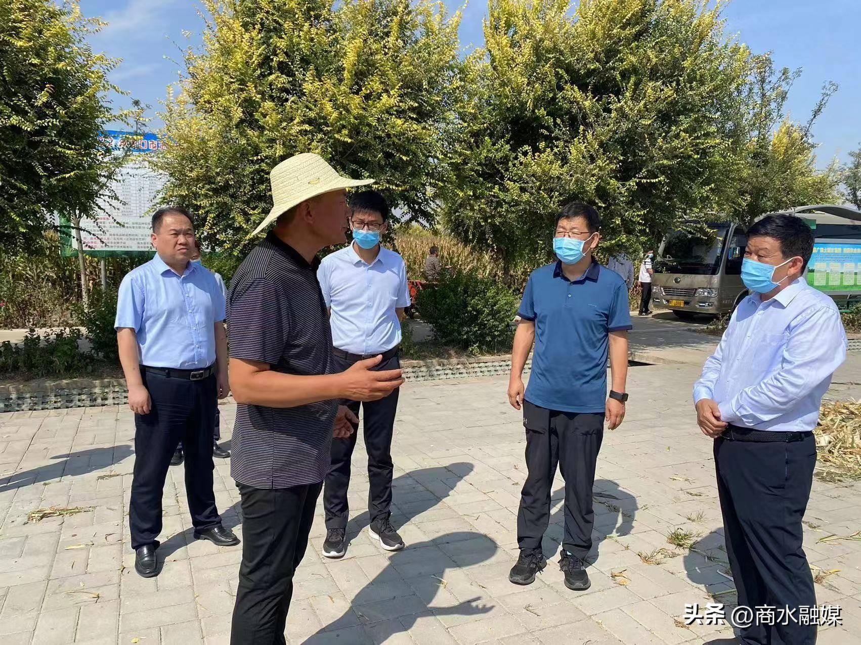全国秋粮收获高峰来临，科技力量引领农业革新风潮，收获近六成成果