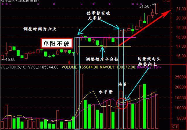 大V深度解析股市，带你领略投资之道的市场走势探讨
