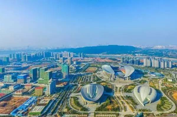 五象新区最新动态揭秘，巷弄深处的独特风情小店