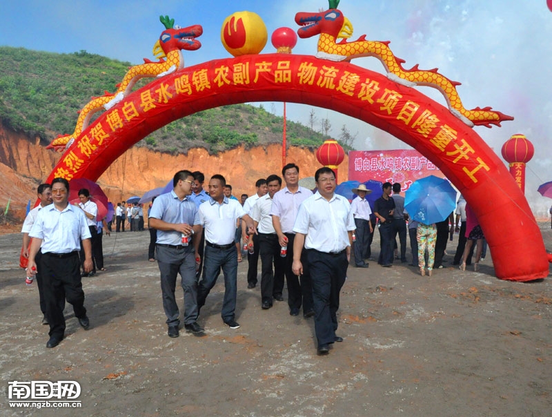 博白最新新闻报道