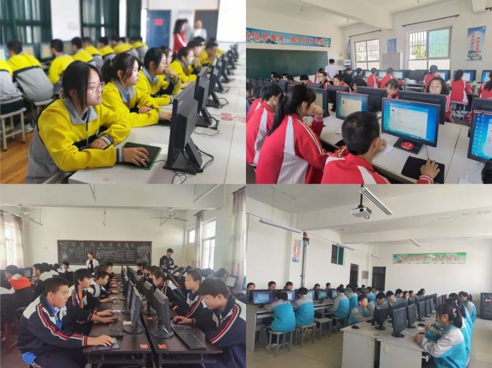 湛江最新招聘信息，变化、学习与自信的力量驱动人才成长之路