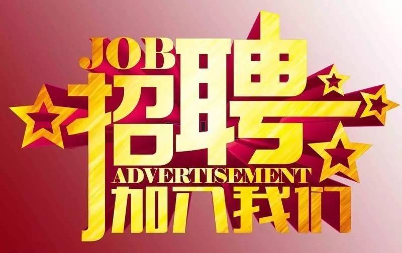 临清最新招聘信息揭秘，热门岗位与职业发展机遇探寻