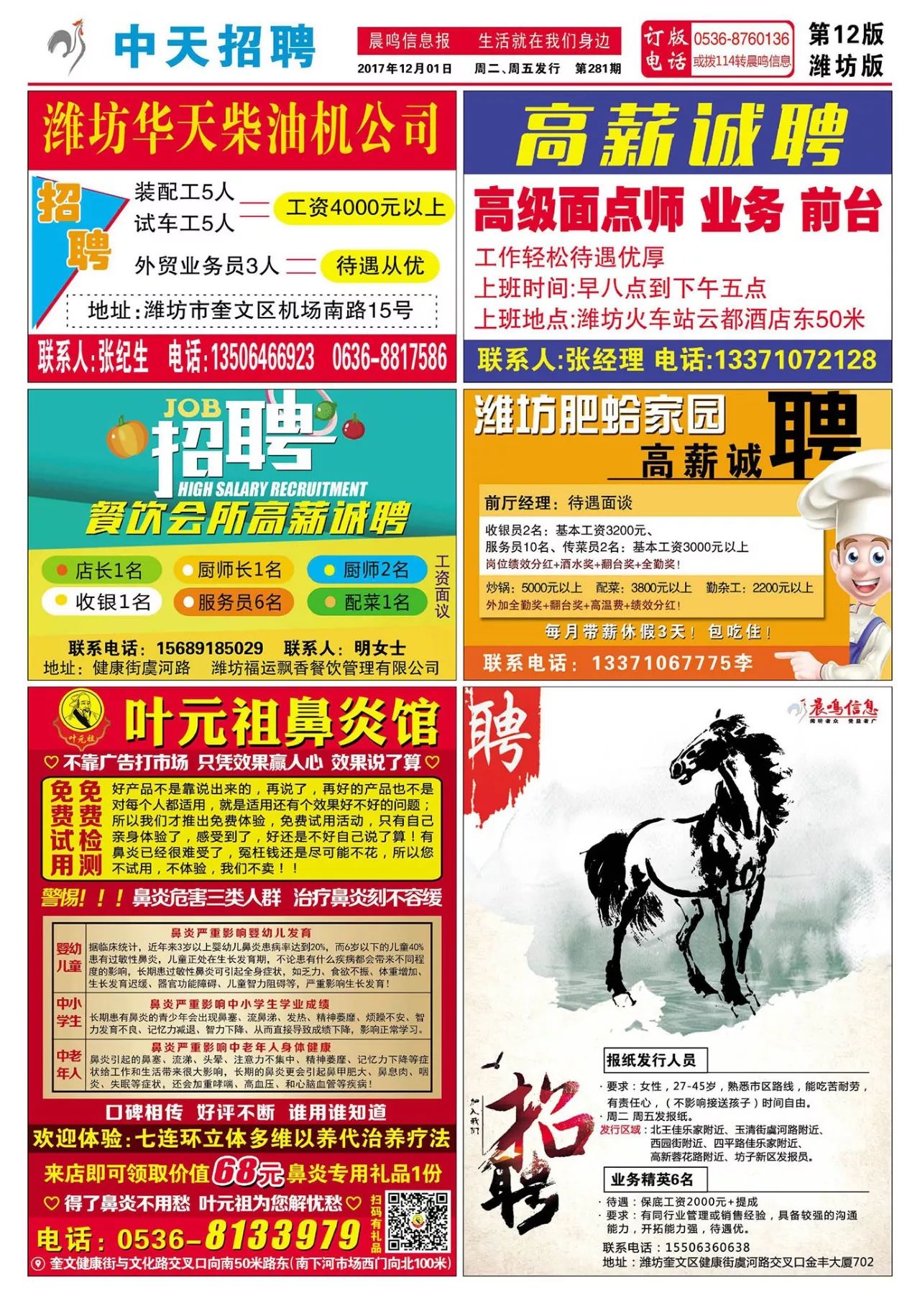 金堂最新招聘，探索自然美景，寻找内心宁静之乐之旅