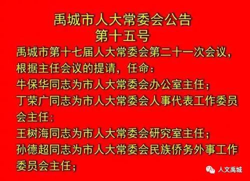 禹城最新招聘信息全面解析与观点论述