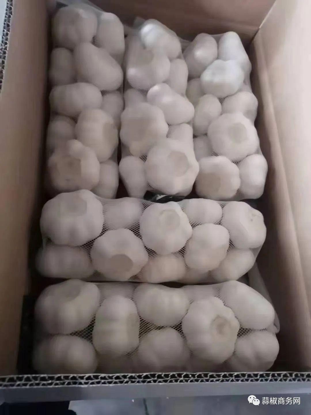 金乡大蒜价格揭秘，日常小故事背后的蒜市风云