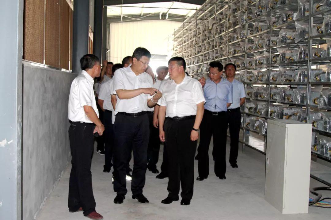 最新经济形势深度解析与评估报告📈💼