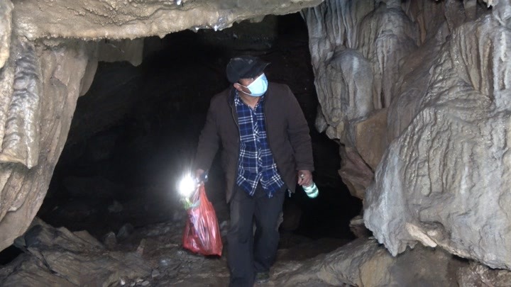 壮乡小莫最新视频，文化表达的深度探讨