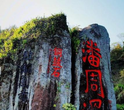 最新款红旗轿车，家的温馨之旅与友情相伴的旅程