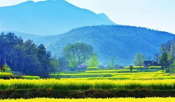 中国好声音最新一期，自然美景的心灵之旅，探寻内心宁静与平和的旅程