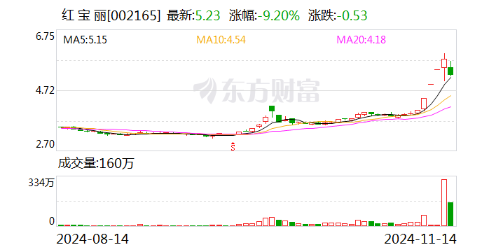 红宝丽股吧最新消息解析，股市信息的获取与分析方法详解