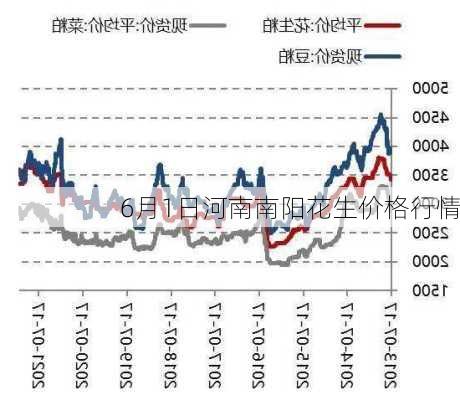 南阳花生价格最新行情动态更新🌼