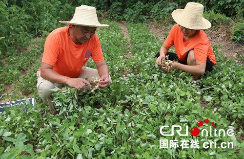 河南宝丰天气预报，科技引领新时代，天气预报新体验