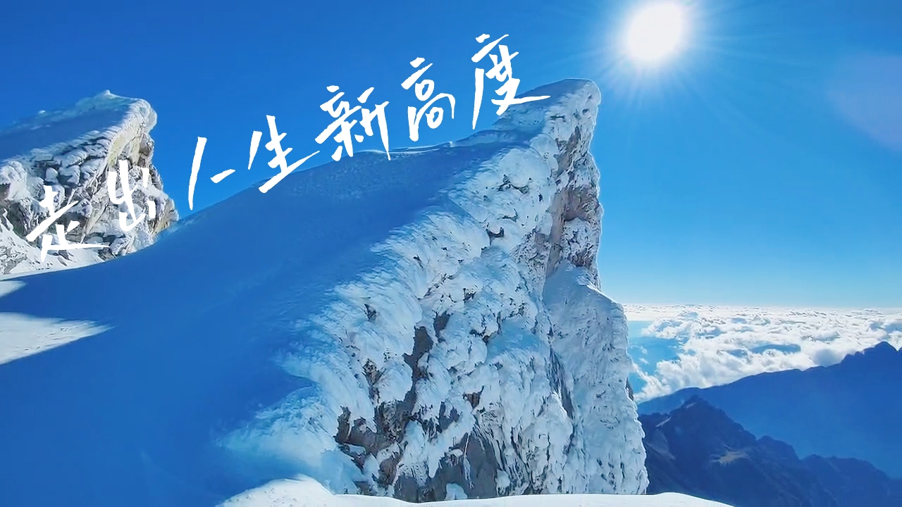 最新台，跃升人生巅峰的阶梯