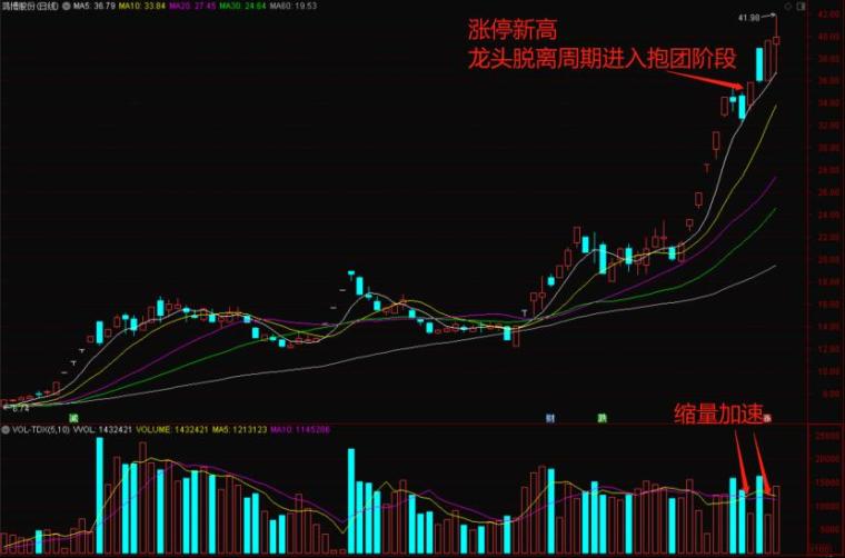 大港股份最新动态，掌握最新消息的步骤指南