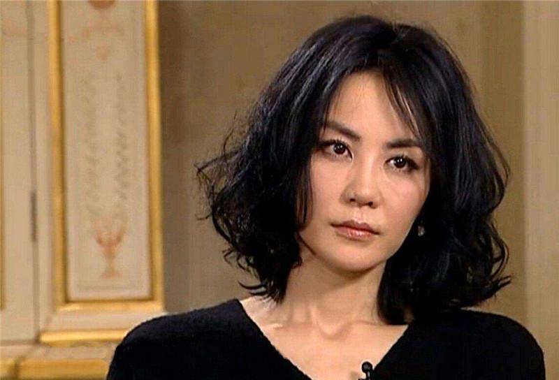 王菲与谢霆锋的最新动态，情感历程及公众观点深度分析