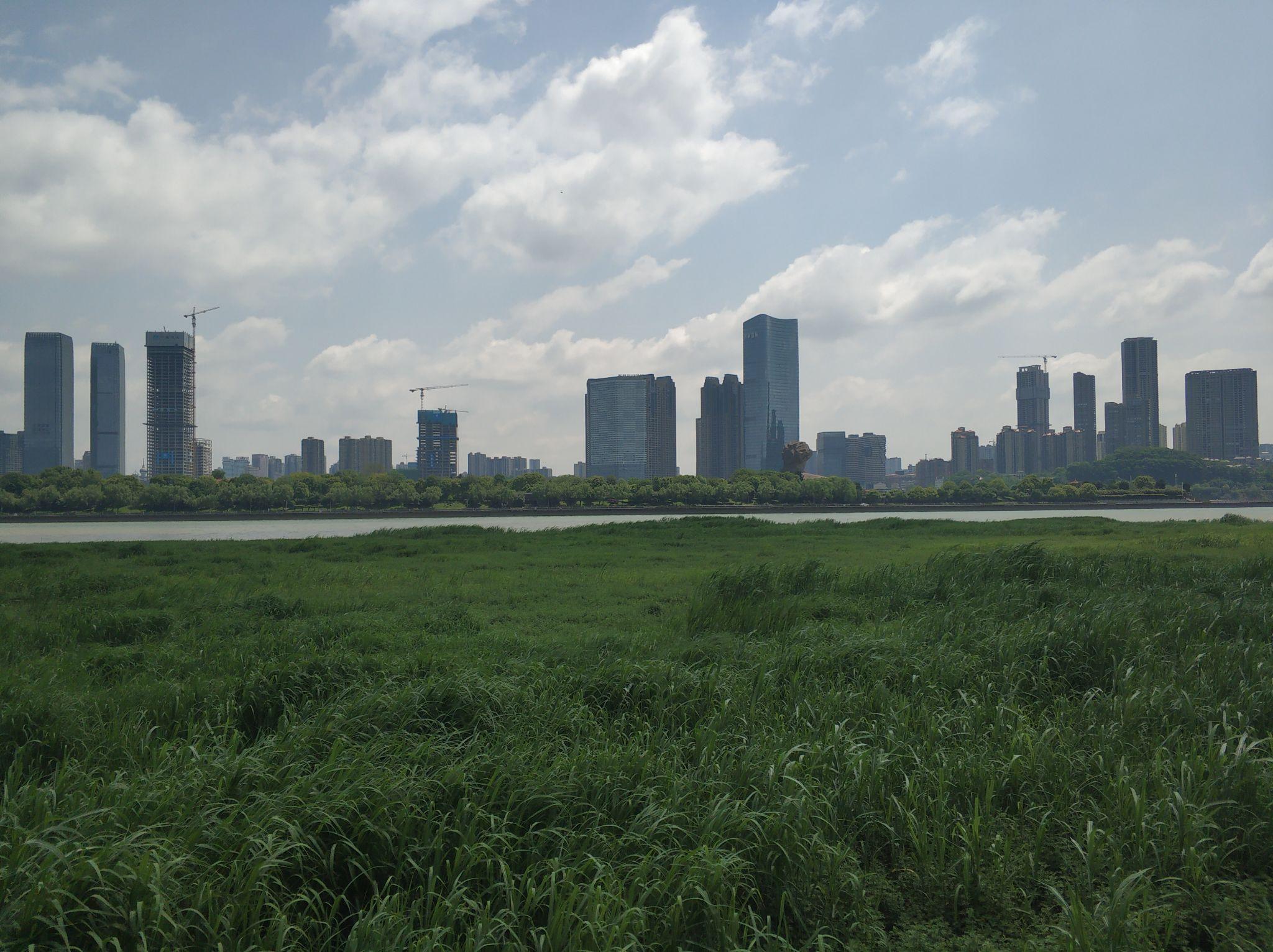 刑事辩解 第245页