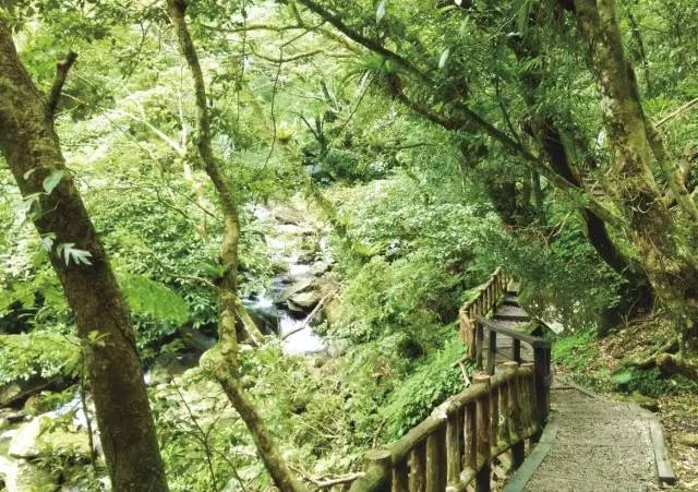 成都大水最新动态，探索自然美景的轻松之旅