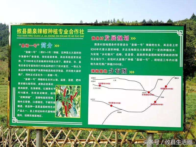 攸县劳动局最新招聘，科技引领未来，开启全新体验之旅