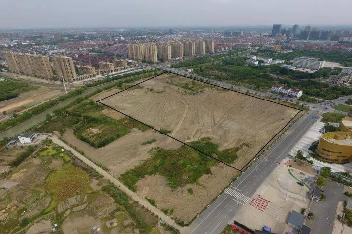 桐乡土地拍卖最新动态，一场土地的温馨故事揭晓