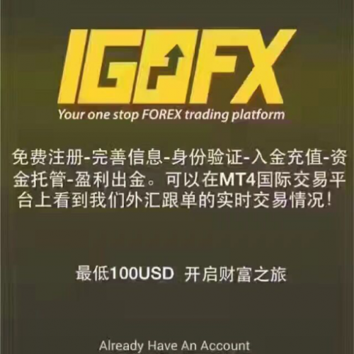IGOFX爆仓