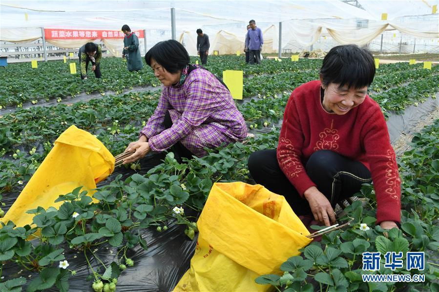 莱西招聘信息最新招聘